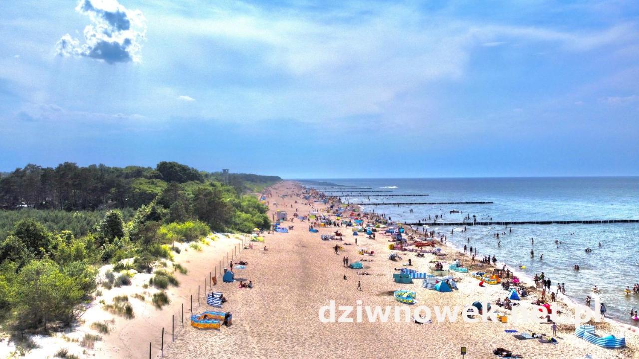 Sofia Apartment Dziwnowek Luaran gambar